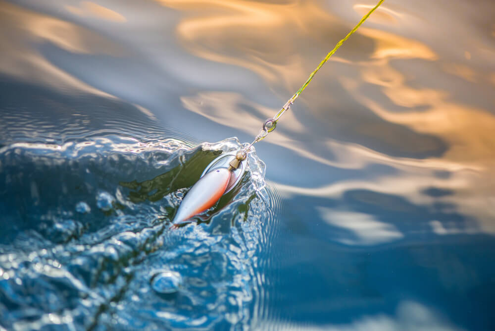 Choosing The Perfect Bait For Flounders Fish