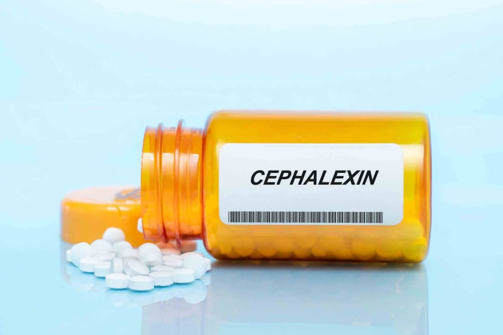 Common Uses Of Cephalexin In Veterinary Medicine