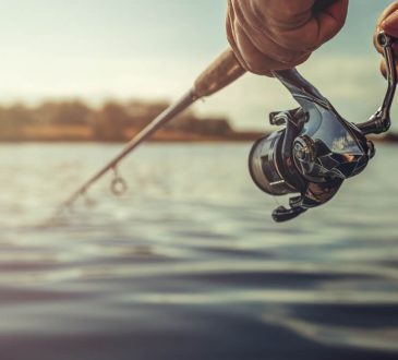 How To Catch Flounder Fish Like A Pro