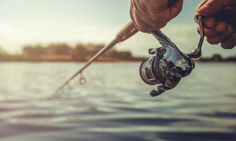 How To Catch Flounder Fish Like A Pro