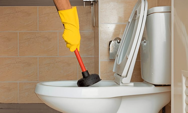 How To Unclog A Toilet A Step By Step Guide For Quick Results