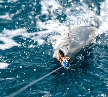 Wahoo Fishing Tips Techniques And Best Practices